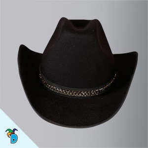 Sombrero Texano Forrado